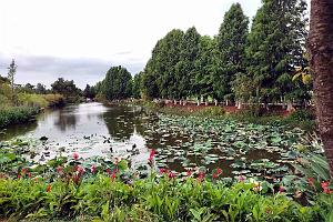 KUNMING - Parc Daguan - 51